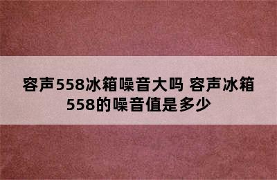 容声558冰箱噪音大吗 容声冰箱558的噪音值是多少